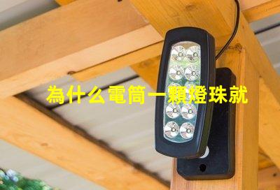 為什么電筒一顆燈珠就很亮 電筒為什么只有一個燈珠